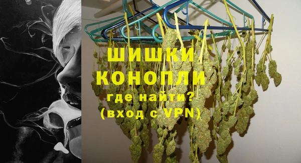 PSILOCYBIN Горно-Алтайск