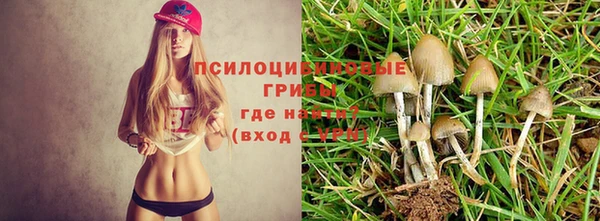 а пвп мука Вяземский