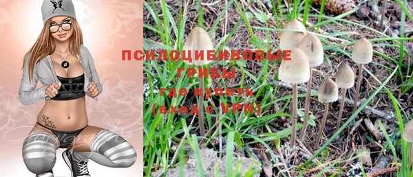 а пвп мука Вяземский