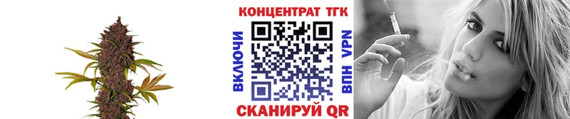 Дистиллят ТГК гашишное масло  продажа наркотиков  Завитинск 